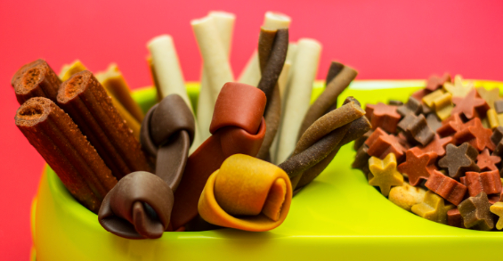 A Guide to Preparing Allergy-Friendly Dog Treats at Home